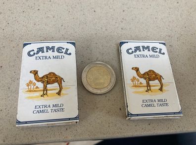Camel Matches 2