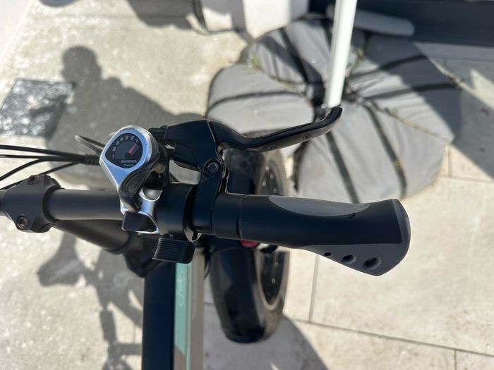 Fiido M1 Pro Electric Bike