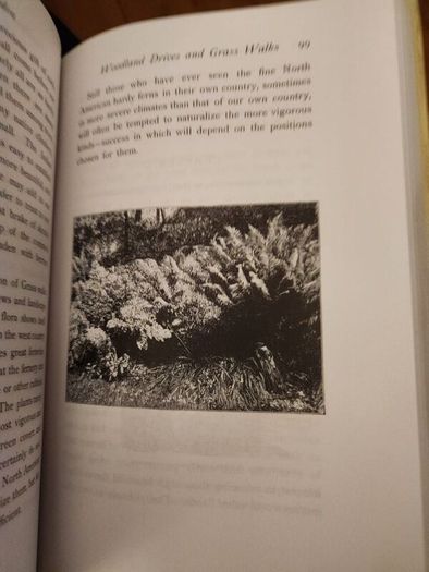 The Wild Garden. By William Robinson. Hardback With Dustjacket In Good Condition.