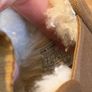 Ugg Boots Image 5
