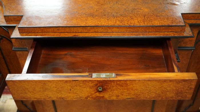 19th Century French Burr Thuya Cabinet
