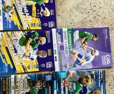 Limerick hurling programmes