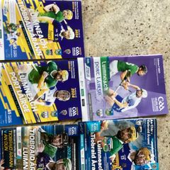 Limerick hurling programmes