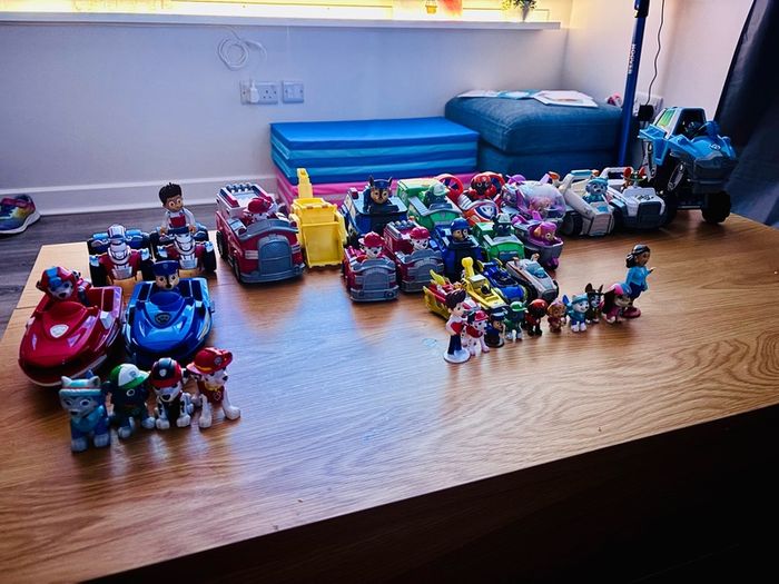 paw patrol bundle