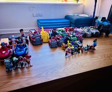 paw patrol bundle
