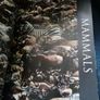 Animal: The Definitive Visual Guide - 1st Edition Image 9