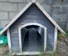 dogs kennel