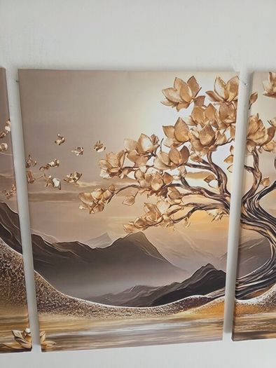 3 framed printed canvas 35x55cm each