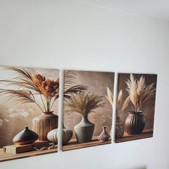 3 framed  large canvas 45x65cm each