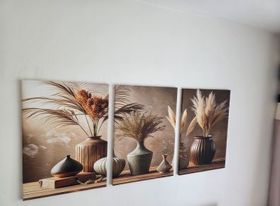 3 framed  large canvas 45x65cm each