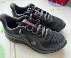 NIKE Mens Pegasus Premium Running Shoes