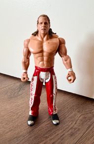 Wwe figure