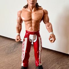 Wwe figure