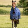 equestrian Image 3