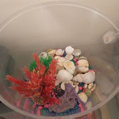 fish tank 15 liters with see decorations, just add water and your pet, ready to use