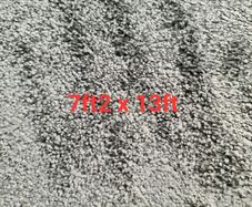 carpet 7ft2 x 13ft
