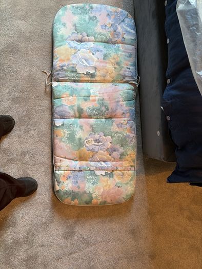 2 Garden Cushions Free , Dublin 4  Collection