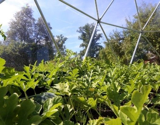 Deluxe 5m(16.4ft) Extremely Strong Structure For Irish Weather Dome Igloo Glamping