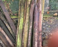 Fencing Posts