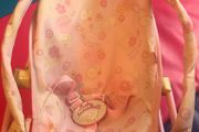 Baby Annabell Seat