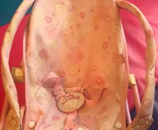 Baby Annabell Seat