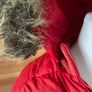 Puffer bomber jacket Polo Jeans Ralph Lauren Down Feather Warm Winter puffer Jacket with Removable Hood red size S Image 5