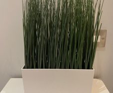Ikea FEJKA Artificial In/Outdoor Potted Grass (with free gift)