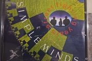 Simple Minds CD  - Street Fighting Years