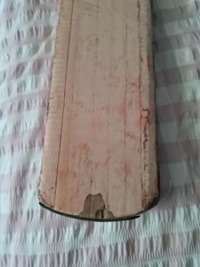 Cricket batt