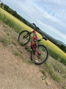 Mountain bike