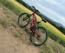Mountain bike