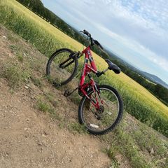 Mountain bike