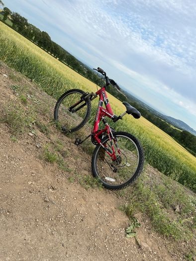 Mountain bike