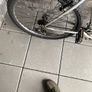 Bicycle Image 5