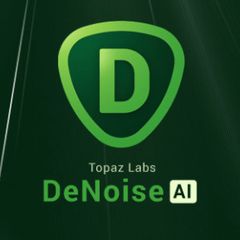 Topaz DeNoise AI 2024 - Lifetime Activation