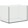 Glass Aquarium Image 3