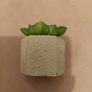faux plant Image 2