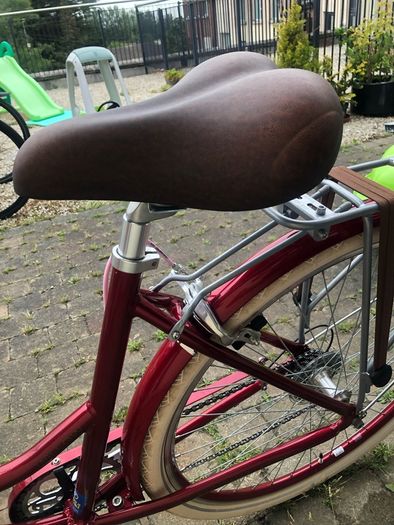 Releigh Willow Women's Bike