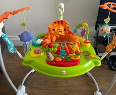 Fisher-Price Roarin' Rainforest Jumperoo Baby Bouncer