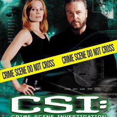 CSI: Crime Scene Investigation - Las Vegas - Season 5 Part 1 [DVD]
