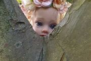 Reborns By Laura.  I Have Elf Fairy's In My Garden!!  Fairy  Elf's  Available For Adoption .  Reborn Doll.  Welcome To View