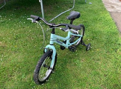 Ridgeback bicycle