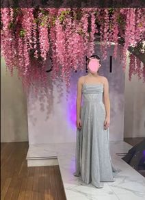 Dani's Showroom TY ball/Debs Dress - Worn Once
