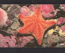 2001 Isle of Man UK2/ 21 units Marine Life around the Isle of Man Red Cushion Starfish (Siemens - S37) Phone Card