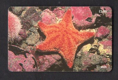 2001 Isle of Man UK2/ 21 units Marine Life around the Isle of Man Red Cushion Starfish (Siemens - S37) Phone Card