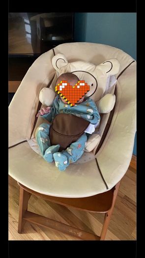 hauck high chair