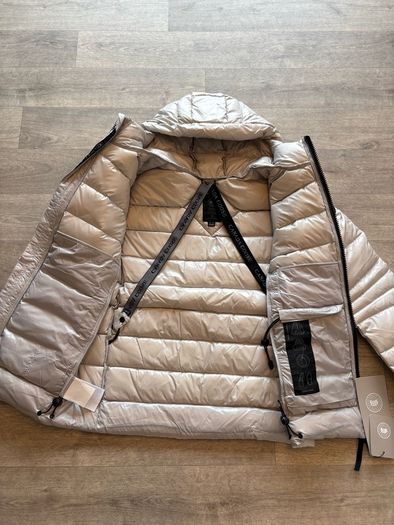 canada goose