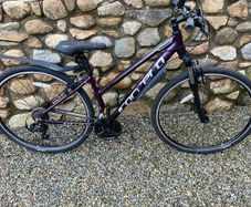 Carerra Endeavour ladies mountain bike