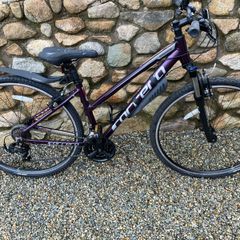 Carerra Endeavour ladies mountain bike