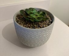 Fake plant and pot